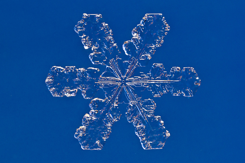 Snowflake, by Steve Begin/flickr/CC BY-NC-SA 2.0