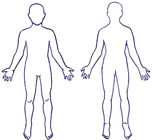 An outline of the human body, back and front.